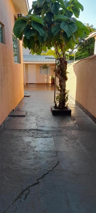 Apartment Proximo Ao Centro E Corredor Turistico *